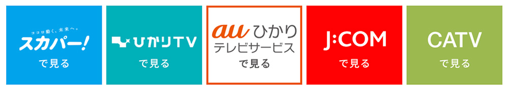 視聴方法一覧