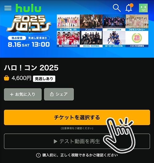 ハロ!コン2025のチケット購入方法13