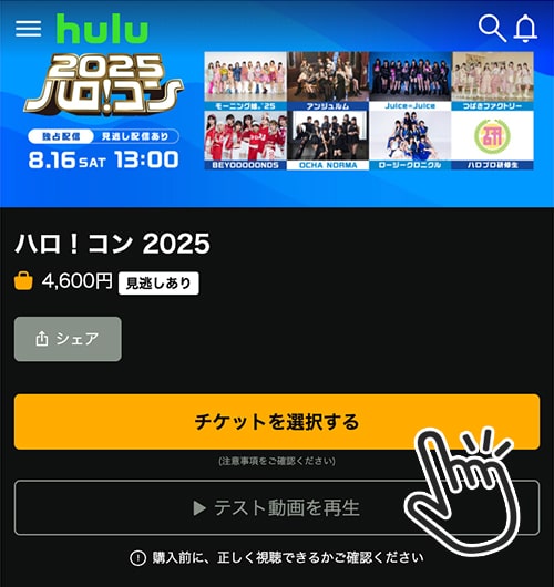 ハロ!コン2025のチケット購入方法4